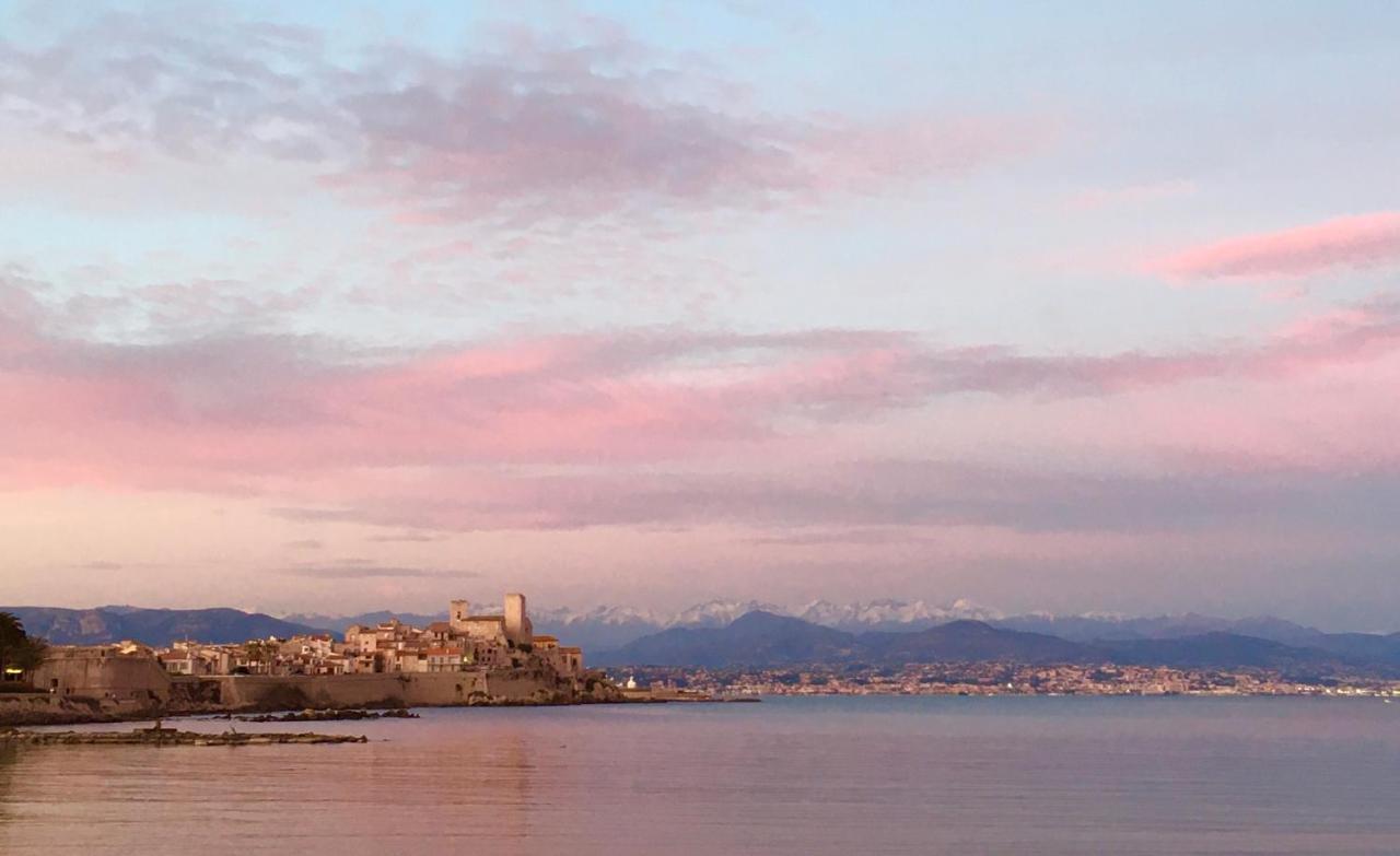Superbe Appartement Dans Le Coeur De La Ville Antibes Eksteriør billede